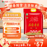 力源龙脊香米10斤 梯田大米丝苗米广西一级籼米南方长粒米 当季新米 