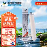 道尔顿（Doulton）净水器滤芯5504 M15UCC英国原装进口天然矽藻瓷滤芯  0.5微米过滤同港版5504道尔顿滤芯