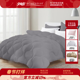 安睡宝（SOMERELLE）冬被双人春秋被子被芯家纺床品 春秋被-轻奢灰 200*230cm