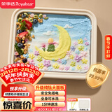 荣事达（Royalstar）炒酸奶机炒冰机冰激凌机儿童自制diy免插电炒冰板纯钛面板抗菌保鲜CB07A(Ti) 防尘防串味彩盒包装