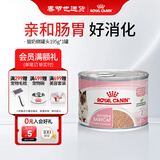 皇家（ROYAL CANIN）猫粮慕斯猫罐头湿粮奶糕幼猫粮全价粮 欧洲原装进口猫咪主食罐头 【新客尝鲜】猫奶糕罐头195g*1罐