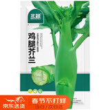 北蔬 鸡腿芥兰种子种苗芥蓝阳台盆栽庭院种四季种籽 鸡腿芥兰种子10g
