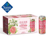 芭乐茉莉气泡果汁茶 310mL*15 310mL*15瓶