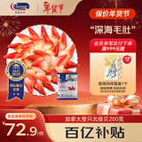 Clearwater北极清水加拿大北极贝刺身200g12-16只整只北极贝0添加日料同款