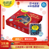 怡颗莓Driscoll's云南蓝莓14mm+ 4盒装 约125g/盒 新鲜年货水果
