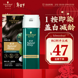 施华蔻（Schwarzkopf）怡然一按染泡泡染发乳2.0雾感冷黑 染发剂男女多次盖白 热门商品