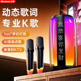 纽曼（Newmine）K19音响音箱蓝牙唱歌神器K歌麦克风音响一体式内置声卡显示歌词KTV家用便携户外卡拉ok 双麦克风