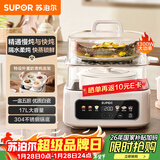 苏泊尔（SUPOR）电炖锅 煲汤锅隔水炖锅0涂层家用多功能锅炖蒸煮一体17L电炖盅炖汤锅电蒸锅 DZ20FC871