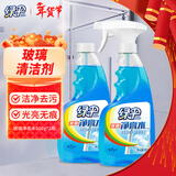 绿伞玻璃净亮水 玻璃车窗清洗剂春节大扫除 不留水痕去污防尘500g*2瓶