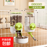 【京东物流】宠物兔子自动饮水器挂式喂水喝水器仓鼠龙猫荷兰猪 薄荷绿/滚珠饮水器+自动喂食器