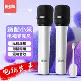 阳声 无线电视麦克风k歌声卡降噪话筒唱歌老人儿童家庭ktv适用于小米电视 双麦版