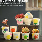 仟尚亿多肉花盆陶瓷个性简约室内植物创意粗陶花盆栽花盆透气大口径组合 亏本促销10个手绘 中等