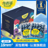 怡颗莓【送礼优选】云南花香蓝莓 当季新鲜蓝莓  高端水果年货礼盒送礼 【礼盒】Jumbo超大125g*8盒（18mm+）