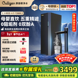 康丽根小黑龙厨下式即热净水器 前置超滤纯净水机家用RO反渗透饮水净饮机【无千滚水】T2800 【热销TOP1】小黑龙即热净水器
