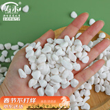 寿禾 白石子小石头多肉盆栽鱼缸造景绿植装饰 6-9mm白卵石500g
