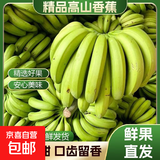 云南香蕉正宗新鲜青皮水果现摘薄皮软糯香甜鲜露生鲜特产 云南高山绿皮香蕉【软糯香甜】放置催熟后食用 带箱2斤