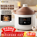 小熊（Bear）电炖锅 电炖盅电砂锅 煲汤锅炖汤锅紫砂锅 燕窝炖盅 煮粥婴儿辅食锅电煮锅 3L DDG-K30H1