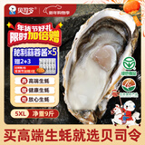 贝司令 鲜活乳山生态生蚝5XL 净重9斤 14-18只 生鲜源头直发年货送礼
