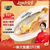 三都港 洄游季带籽黄花鱼1.1kg/条 大黄鱼 海鲜 深海鱼 生鲜 鱼类 年货