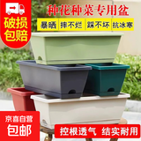 花盆绿植盆栽塑料阳台种菜神器家用长条槽盆盆栽种植盆特大窗台 3个盆【特大】50*19*13cm 颜色随机