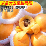 卡布诺四川攀枝花米易甜枇杷应季新鲜水果枇杷果大五星早钟枇杷生鲜鲜果 大果5斤礼盒装（单果40g+）顺丰