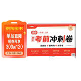 斗半匠12天期末考前冲刺卷一年级上册试卷语文数学测试卷人教版期末考试期末冲刺100分专项复习测试卷子