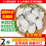优牧冠 冷冻生蚝肉  新鲜活剥牡蛎肉 海蛎子 生鲜  海鲜水产 年货送礼 【免处理大号】生蚝肉 （净重）2斤
