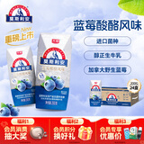 光明莫斯利安蓝莓味酸奶200g*24盒营养早餐酸奶量贩装送礼