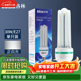 洛林（ROlin）led灯泡节能灯泡 e27大螺口家用商用大功率光源 30W白光