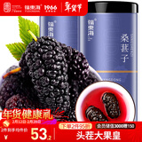 福东海 桑葚子500克（250g*2瓶）【大果皇】精选无沙桑椹即食泡水泡酒 