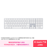 Apple/苹果 妙控键盘-中文 (拼音) 闪电接口带数字小键盘 轻薄苹果键盘蓝牙键盘无线键盘办公键盘