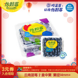 怡颗莓Driscoll's云南蓝莓14mm+ 2盒装 约125g/盒 新鲜水果