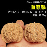 沐玛文玩核桃狮子头手把件四座楼古玩麒麟官帽手玩盘新年礼物 36mm血麒麟-32739+盘玩工具