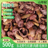 山珍妃精选东北野生红肉蘑松树伞红蘑红菇红蘑食用菌蘑菇干货特产 精选野生红肉蘑  500g