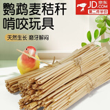海伊朵天然麦秆鹦鹉啃咬玩具小麦杆子消耗玩具饲养笼子造景布景小宠用品 麦秆【100g】