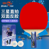 双鱼（DOUBLE FISH）单拍直拍短柄学生全能型训练专用乒乓球拍双面反胶【3A+E 附2球】