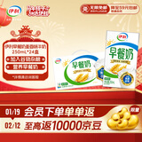 伊利早餐奶麦香味 250ml*24盒 浓香麦片早餐伴侣 年货礼盒装 11月底产