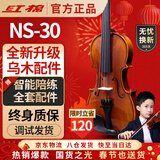 红棉（Kapok）手工全实木小提琴新手入门练习考级学生儿童初学者专用NS-30 1/4