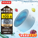 京东京造 便携果蔬清洗机 食材净化机净化器家用水果食品消毒净食机多功能去农残洗菜 男生生日礼物女实用