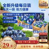 三只松鼠每日蓝莓干256g/16包 无添加水果干果脯小包装儿童老人办公室零食