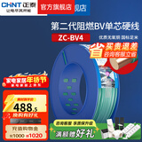 正泰（CHNT）阻燃电线BV2.5/4/6平方单股铜芯电线 电缆线国标电源线家用铜芯线 绿色零线BV4  100米