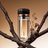 雷德夫（LEIDFOR）G2双层玻璃杯 玫瑰金280ml 男士高档商务泡茶杯 耐热