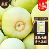 北蔬甜瓜种子苗香瓜早熟冰糖心白肉水果籽 甜宝小香瓜种子5g约500粒