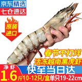 优牧冠越南进口特大号黑虎虾 草虾 冷冻大虾大号对虾夜宵烧烤食材 特大号19-22cm 1.6斤(净重)