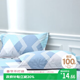 艾薇 A类全棉枕套 学生宿舍枕头套单人枕芯套 一个装 巴德尔 48*74cm