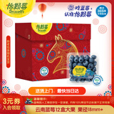 怡颗莓Driscoll's云南蓝莓Jumbo大果18mm+12盒约125g/盒 水果年货礼盒