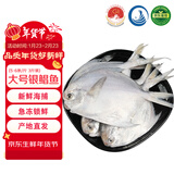 鲜京采 冷冻舟山地标鲜捕大号银鲳鱼净重3斤 5-6条/斤 源头直发 年货节