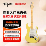 Tagima电吉他塔吉玛TG510 530 635单摇单单双男女初学者入门电吉他套装 TG530PROYL单单双【柠檬黄】39英寸