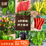 北蔬辣椒种子苗美人椒朝天椒薄皮皱椒四季阳台蔬菜籽 8种辣椒种子大全