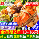 【活蟹】网兜蟹辽宁盘锦河蟹稻田河蟹礼盒螃蟹鲜活大闸蟹无绳净重 全母蟹丨1.3-1.6两【2斤】13-16只